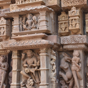 India 2016 (239)