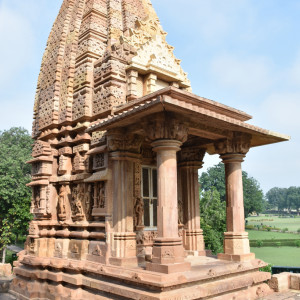 India 2016 (246)