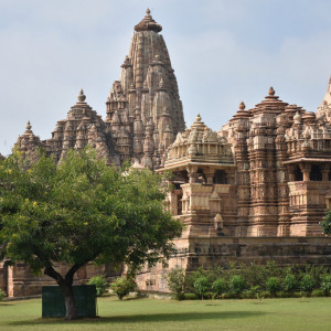 India 2016 (255)