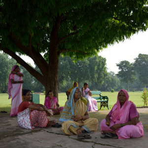 India 2016 (256)
