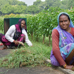 India 2016 (257)