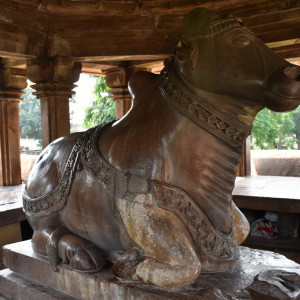 India 2016 (260)