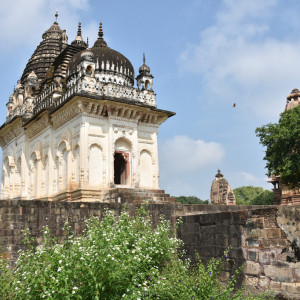 India 2016 (261)
