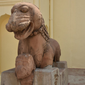 India 2016 (263)