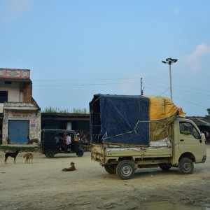 India 2016 (271)