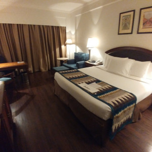 India 2016 (292)