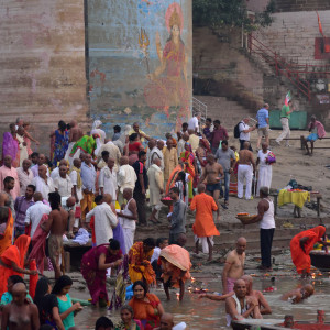 India 2016 (294)