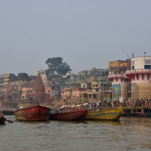India 2016 (317)