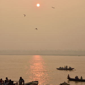 India 2016 (321)