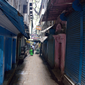 India 2016 (324)
