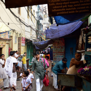 India 2016 (325)