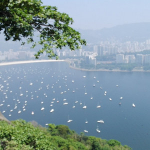 11pão