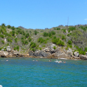 75arraial