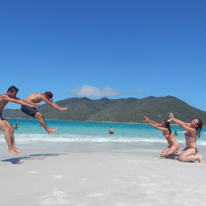 84arraial