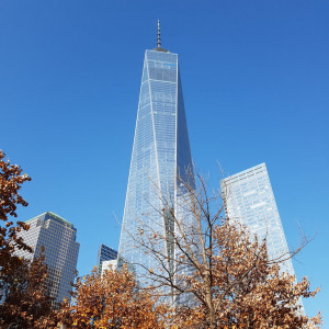 20161116_124544
