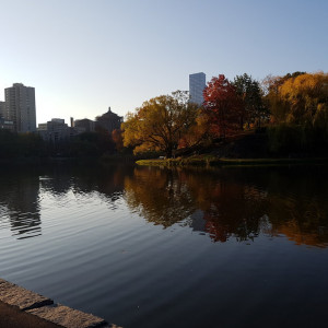 20161117_075240