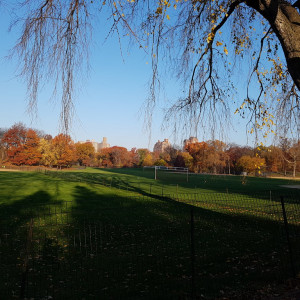 20161117_081114