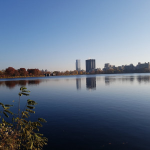 20161117_083054