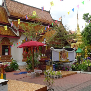 DSC01464