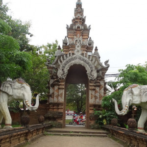 DSC01585