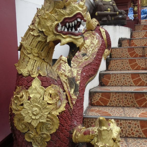 DSC01644