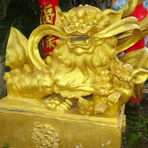 DSC01820
