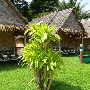 DSC01908