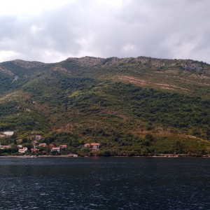 IMG_20160909_164511134