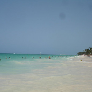 DSC06696