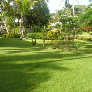 DSC06750