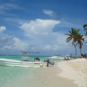 DSC06421