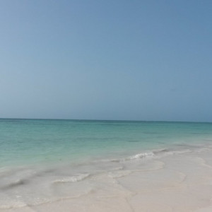 20160625_090605