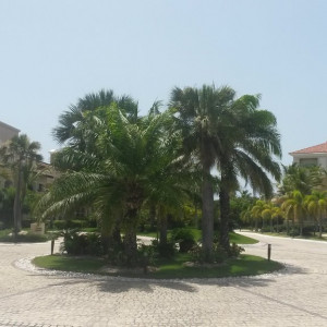 20160625_111251