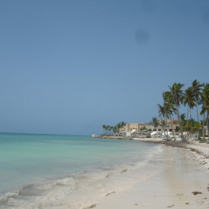 DSC06639