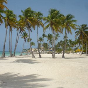 DSC06650