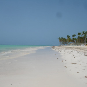 DSC06669