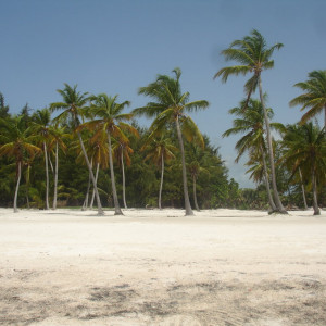 DSC06671
