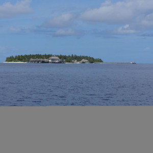 DSC00880