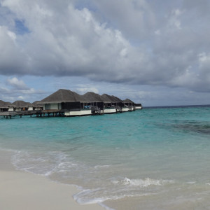 DSC00957