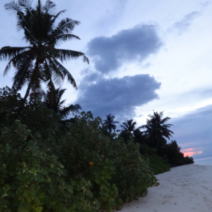 DSC01058
