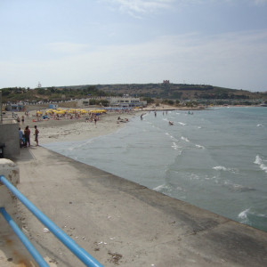 DSC05531