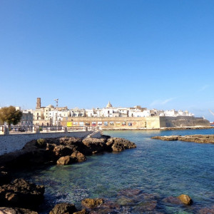 4DSC09417 Cala Porta Vecchia - Monopoli 0
