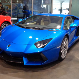 7DSC09700 0