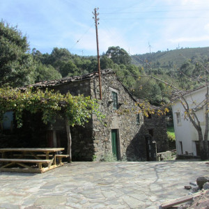 IMG_2010
