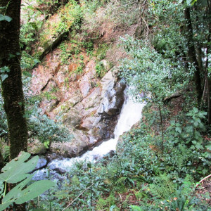 IMG_1800