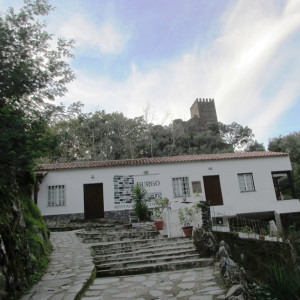 IMG_1903 - Cópia