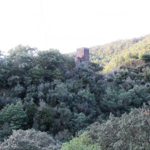 IMG_1915 - Cópia