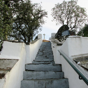 IMG_1920 - Cópia