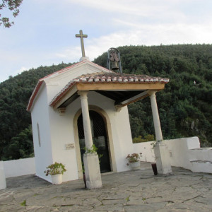 IMG_1923 - Cópia