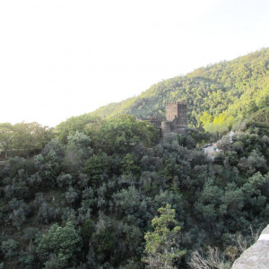 IMG_1924 - Cópia